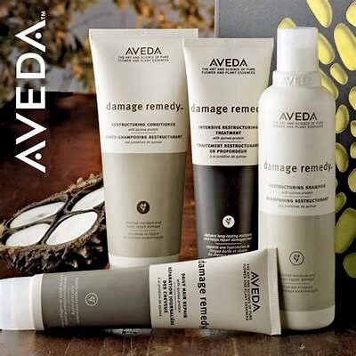 Aveda hair care products